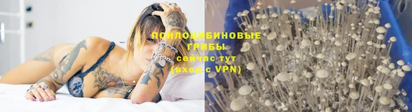 jwh Баксан